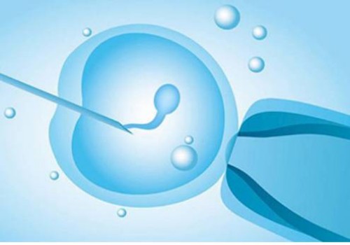 子宮前壁女兒后壁兒子沒(méi)有科學(xué)依據(jù)！胎兒性別與懷孕位置沒(méi)有關(guān)系