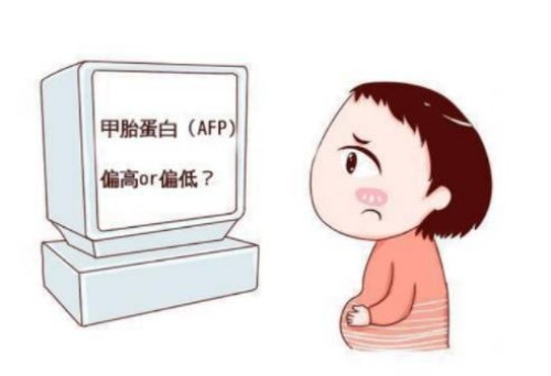 子宮內(nèi)膜c型別做試管，這些情況不適合做囊胚移植