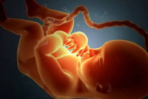 北京大學(xué)人民醫(yī)院供卵試管生男孩費(fèi)用明細(xì)，附供卵試管條件