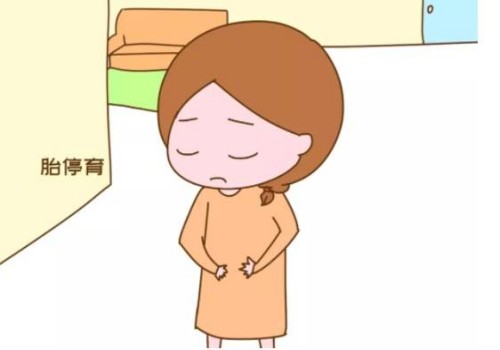 寧波供卵試管：高齡移植兩個(gè)成功率比一個(gè)高，還要考慮這些因素