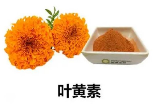 寧波試管嬰兒價(jià)格：懷孕期間服用中藥要小心，最好在醫(yī)生的指導(dǎo)下服用